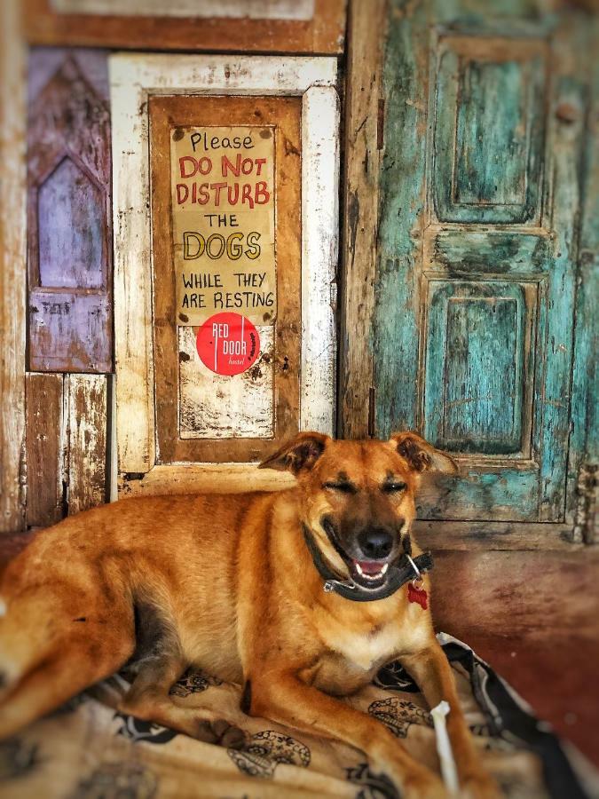 Red Door Hostel Anjuna Ngoại thất bức ảnh